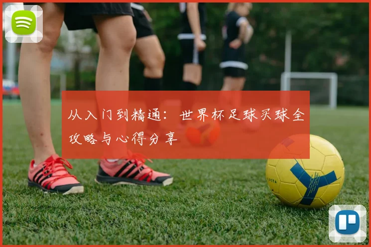 从入门到精通：世界杯足球买球全攻略与心得分享