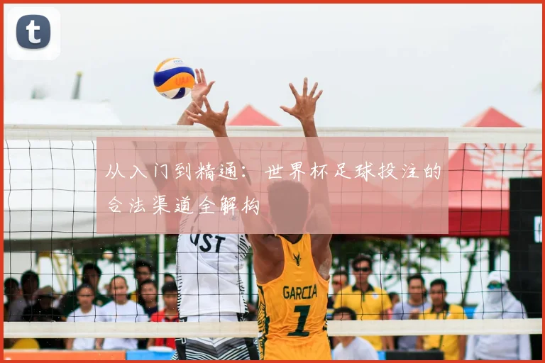 从入门到精通：世界杯足球投注的合法渠道全解构