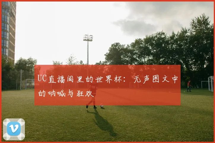 UC直播间里的世界杯:无声图文中的呐喊与狂欢