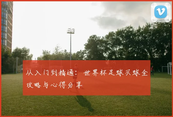 从入门到精通：世界杯足球买球全攻略与心得分享
