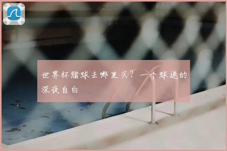 世界杯赌球去哪里买？一个球迷的深夜自白