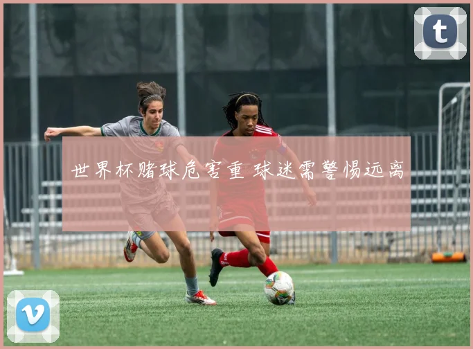 世界杯赌球危害重 球迷需警惕远离
