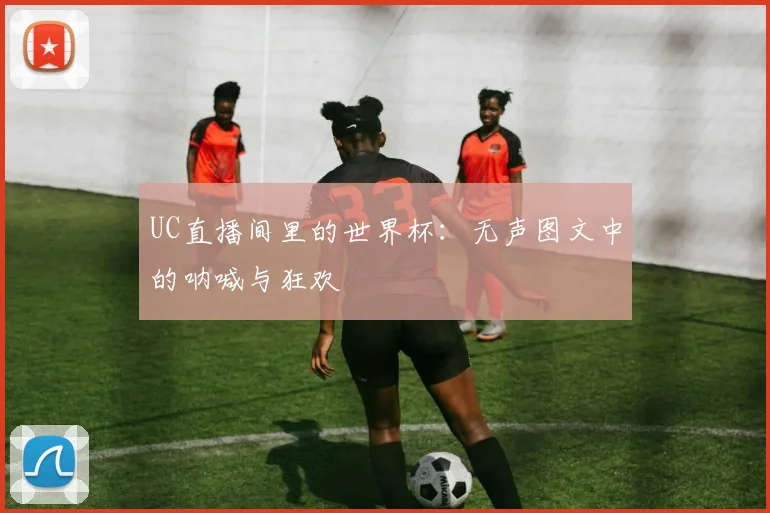 UC直播间里的世界杯:无声图文中的呐喊与狂欢