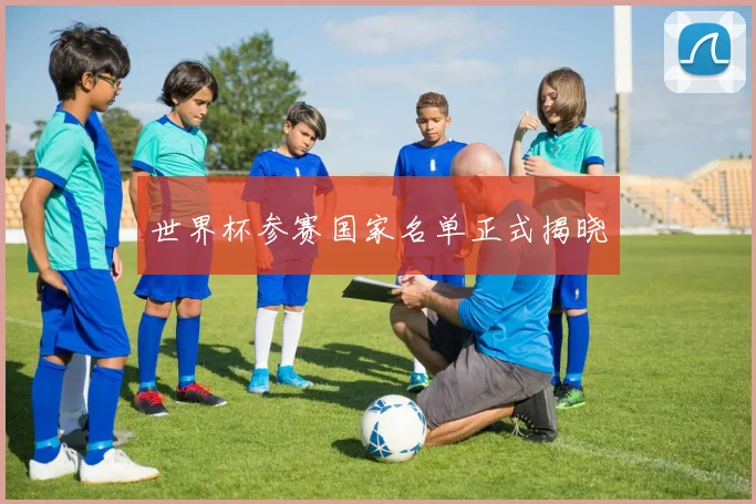 世界杯参赛国家名单正式揭晓