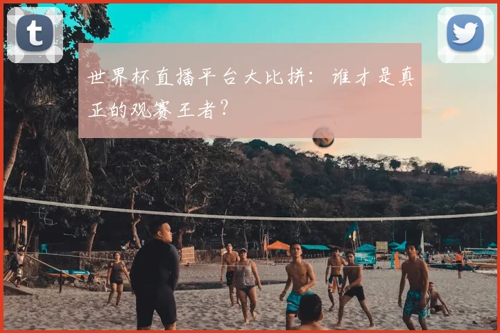 世界杯直播平台大比拼：谁才是真正的观赛王者？