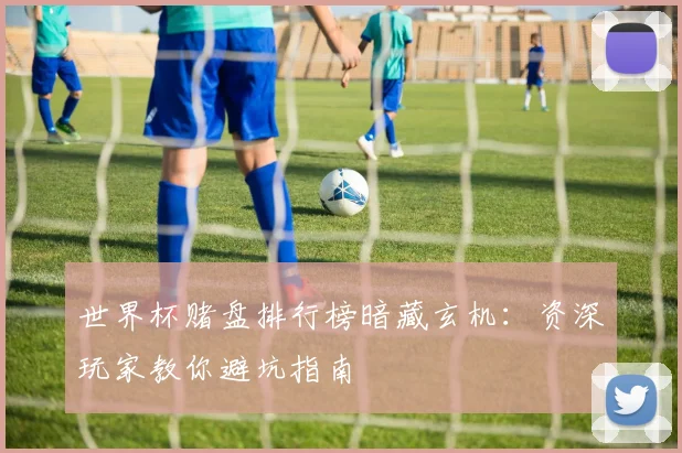 世界杯赌盘排行榜暗藏玄机:资深玩家教你避坑指南